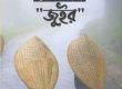 চট্টগ্রামের ঐতিহ্যবাহী ‘জুইর’
